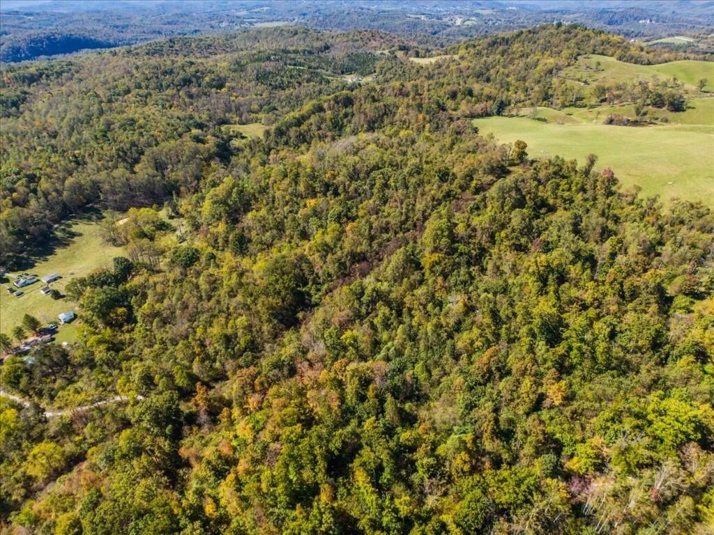 TBD Dry Branch RD - Photo 7