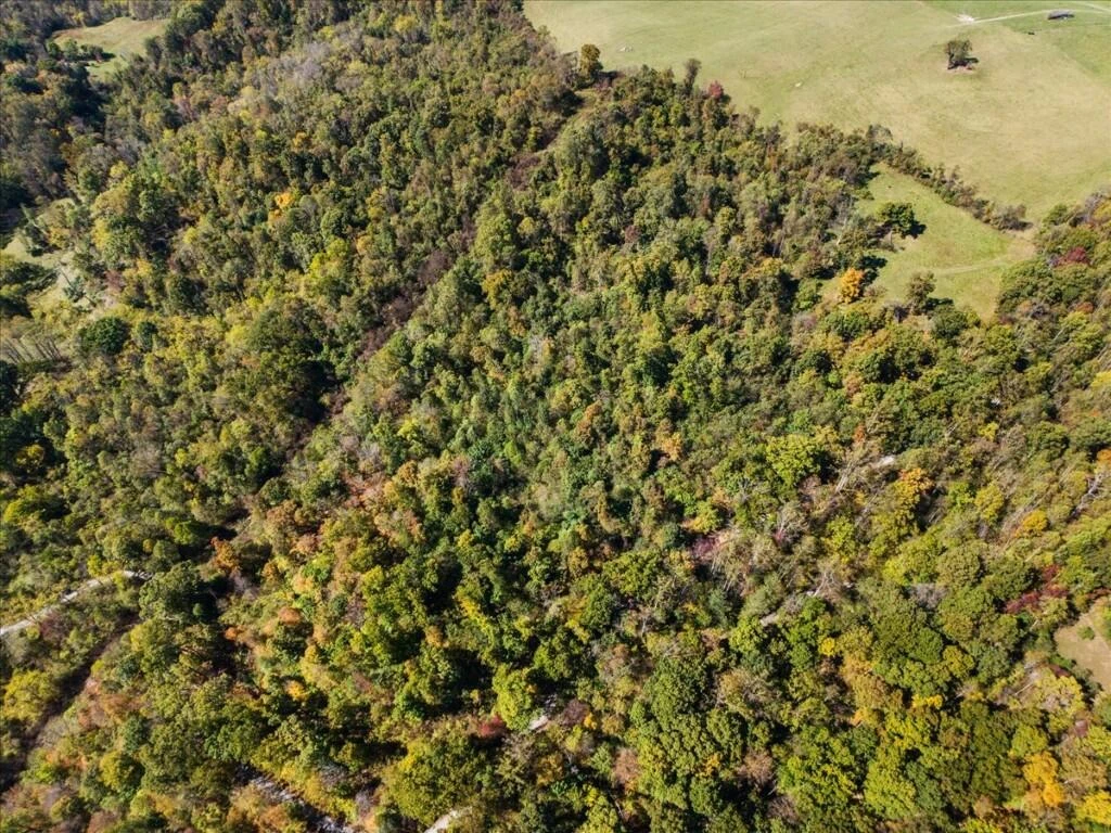 TBD Dry Branch RD - Photo 8