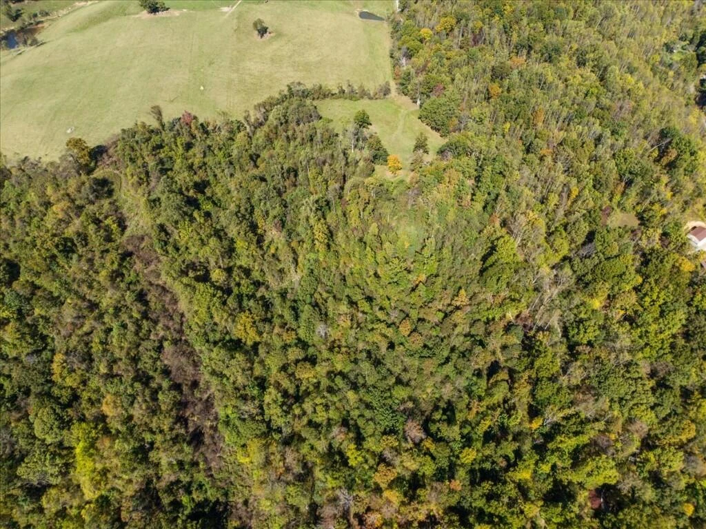 TBD Dry Branch RD - Photo 9