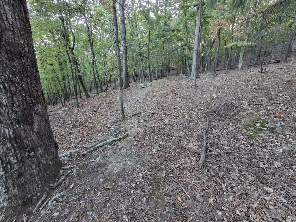 2441 Coachman DR - Photo 2