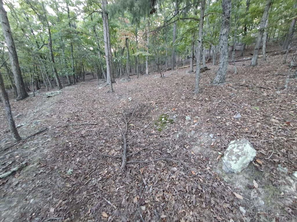 2441 Coachman DR - Photo 3