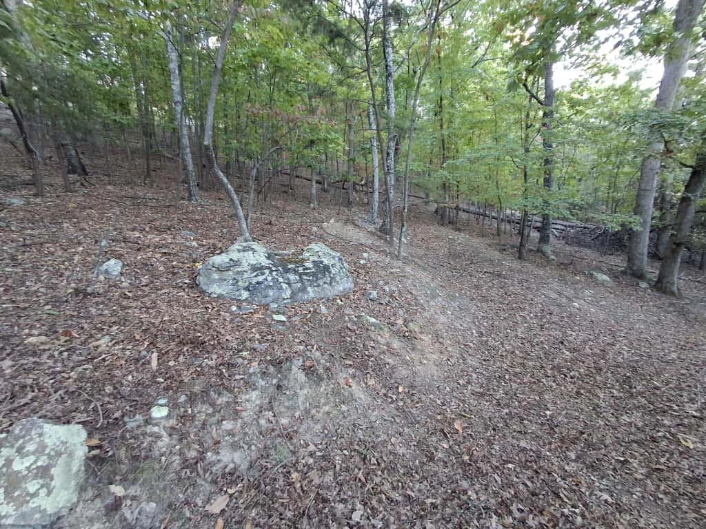 2441 Coachman DR - Photo 4