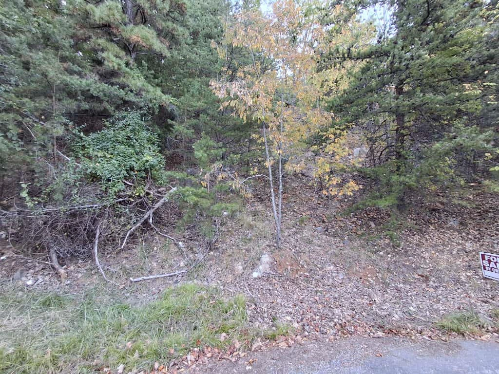 2441 Coachman DR - Photo 8