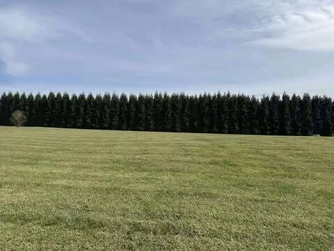 Lot 4 Nyle Ridge RD - Photo 11