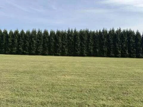 Lot 4 Nyle Ridge RD - Photo 4