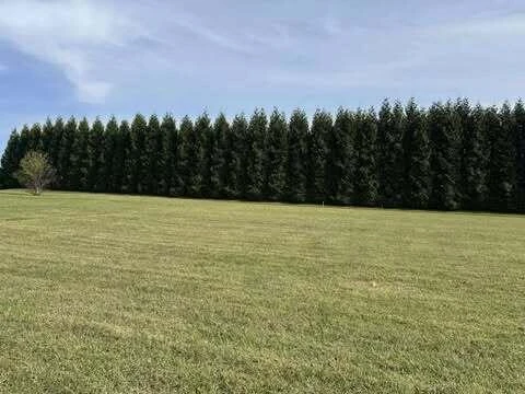 Lot 4 Nyle Ridge RD - Photo 5