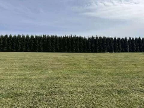 Lot 5 Nyle Ridge RD - Photo 10