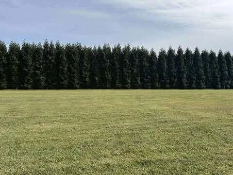 Lot 5 Nyle Ridge RD - Photo 4