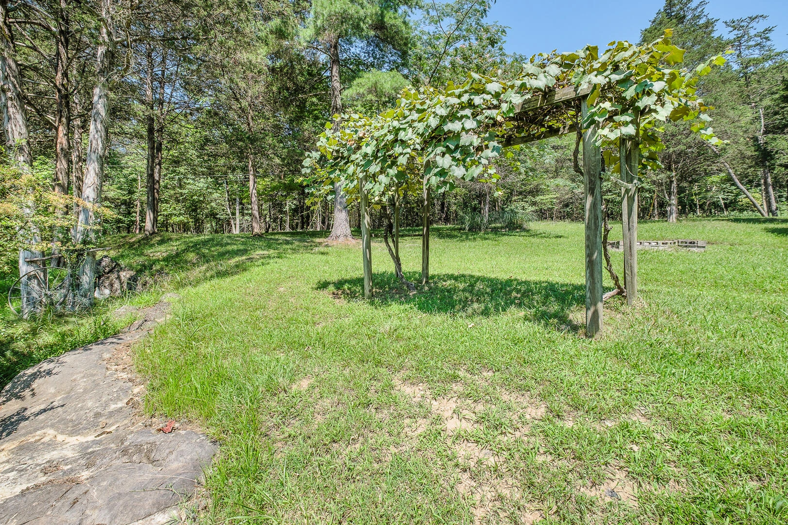 157 Allen Branch RD - Photo 42