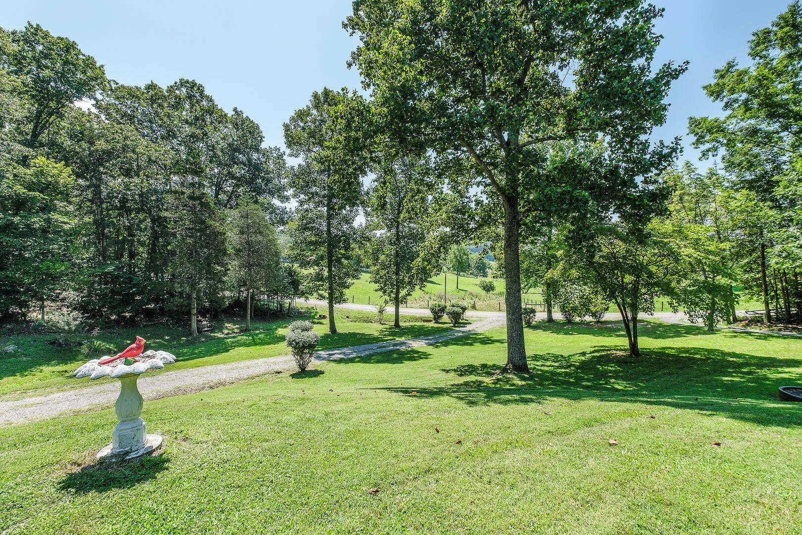 157 Allen Branch RD - Photo 8