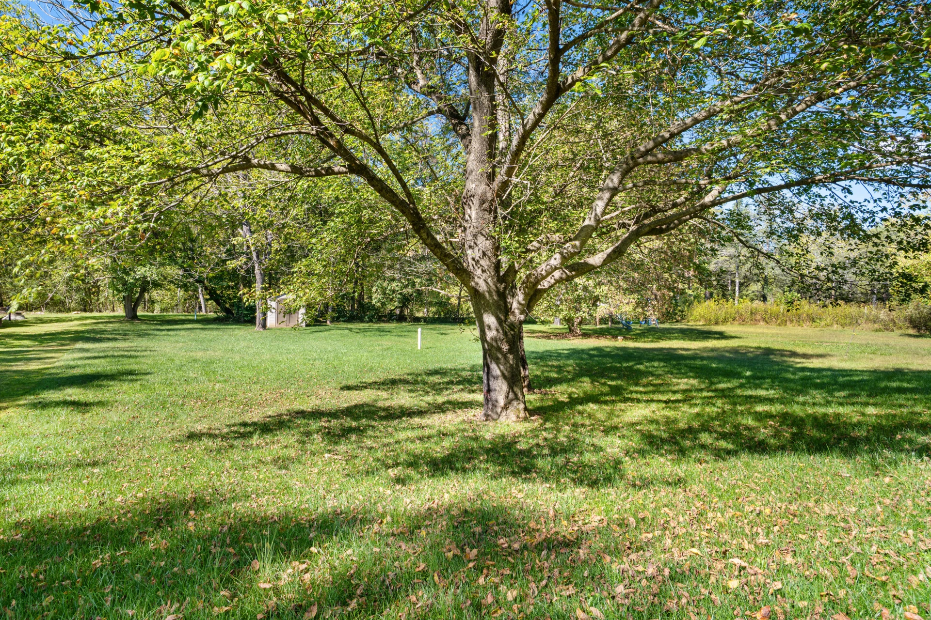 2918 Green Ridge RD - Photo 32