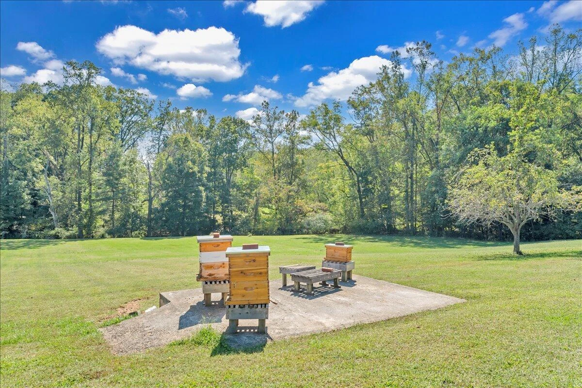 427 Boxley RD - Photo 26
