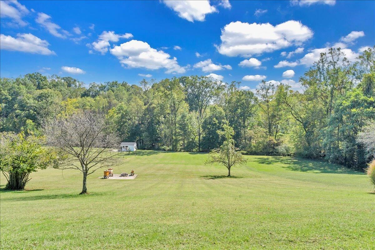 427 Boxley RD - Photo 29