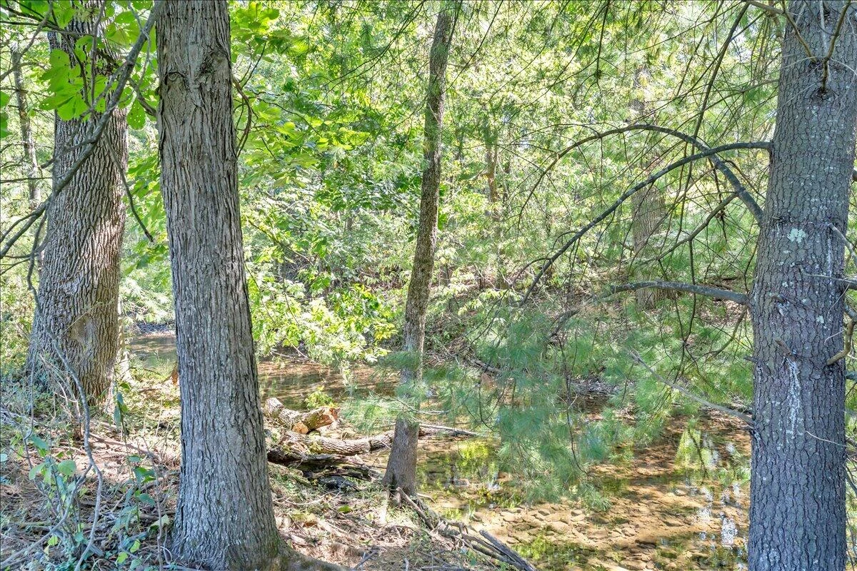 427 Boxley RD - Photo 33