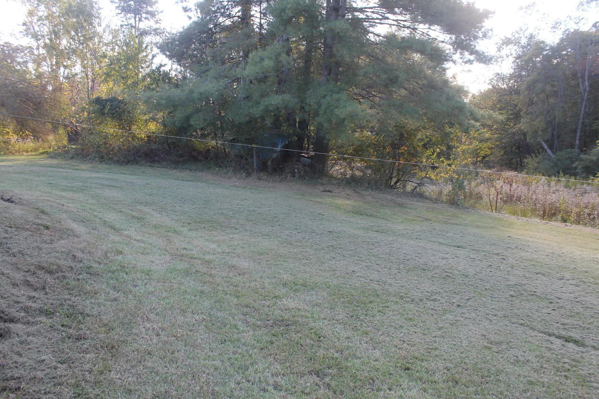 855 Bonbrook Mill RD - Photo 12
