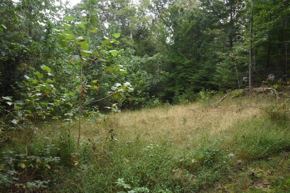 0 Raintree RD