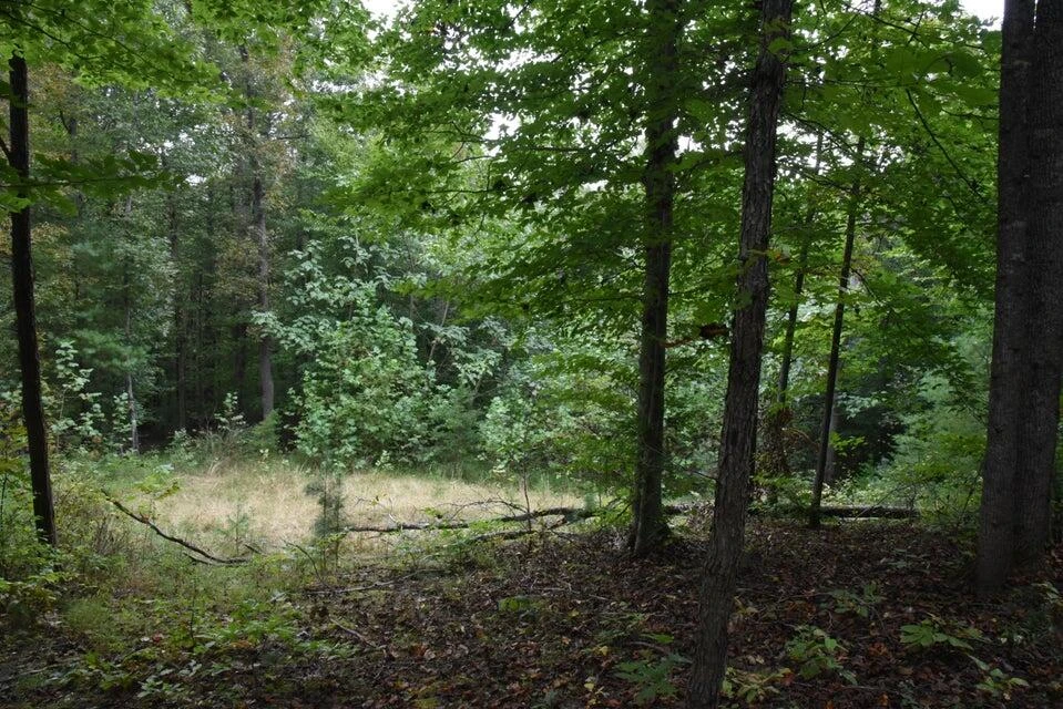 0 Raintree RD - Photo 3