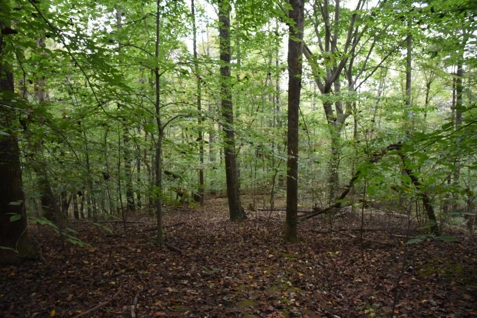 0 Raintree RD - Photo 4