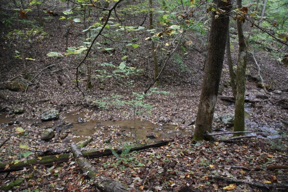 0 Raintree RD - Photo 5