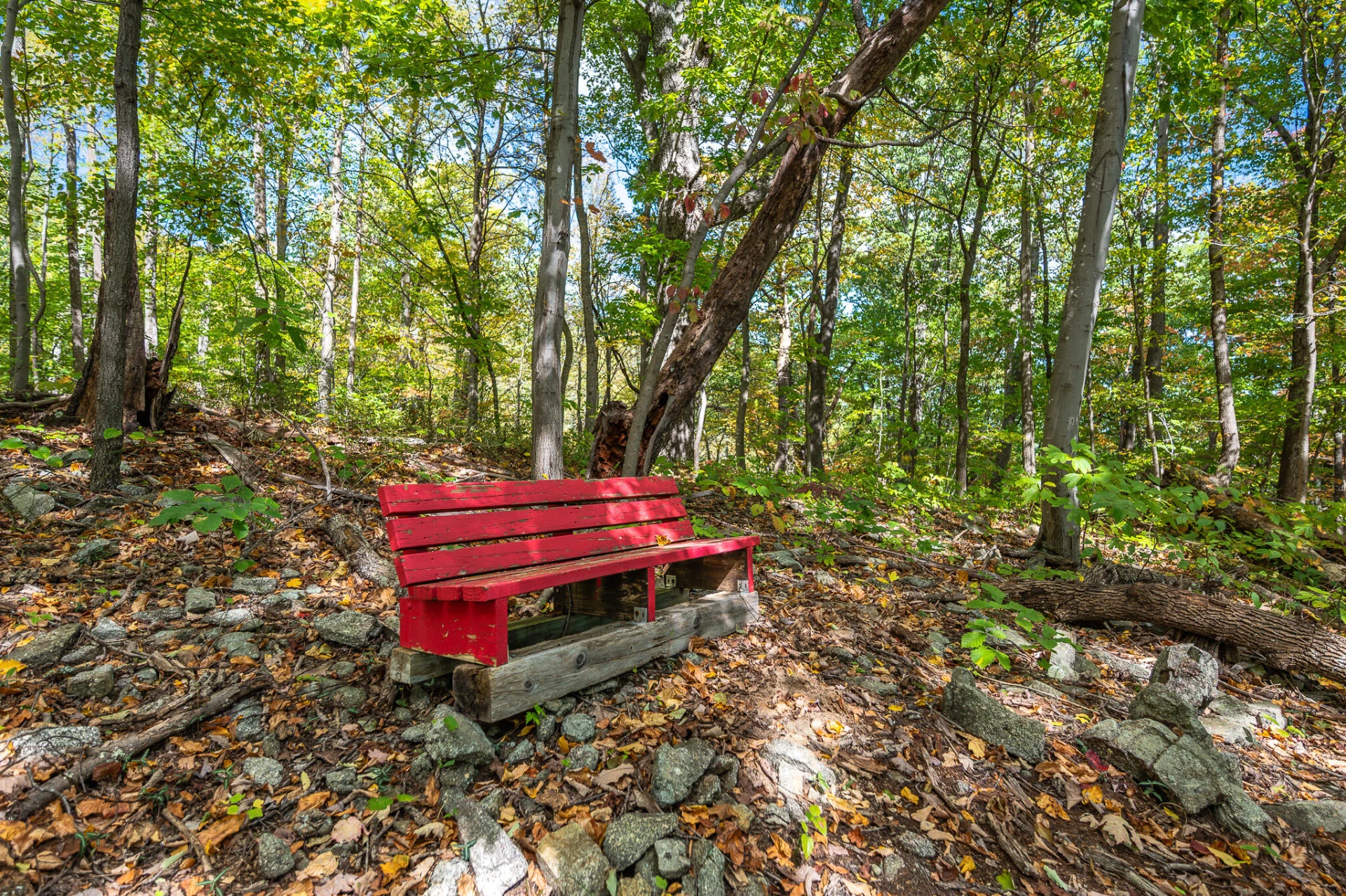 1795 Karnes RD - Photo 46