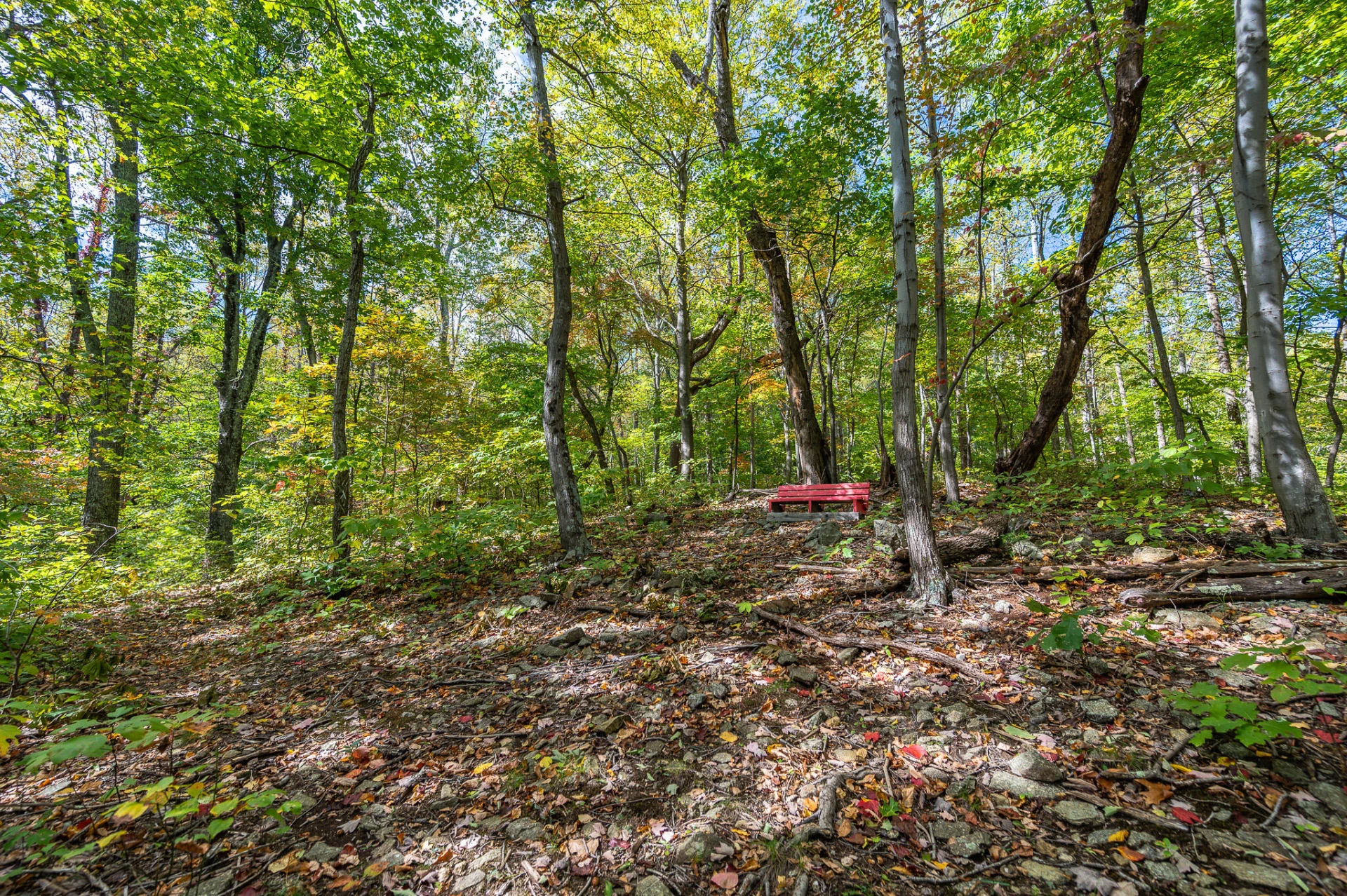 1795 Karnes RD - Photo 48
