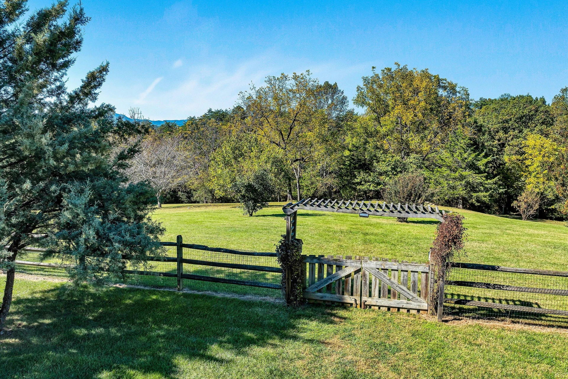 196 Halsey CT - Photo 64