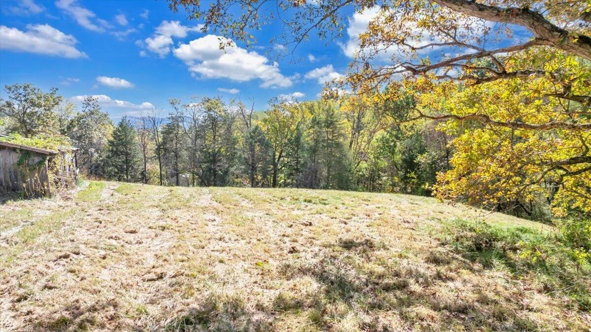 3770 Blue Ridge Tpke - Photo 15