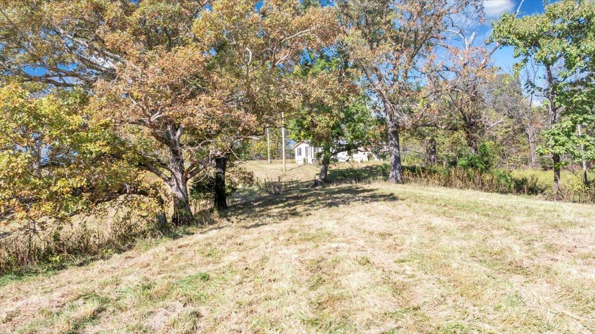 3770 Blue Ridge Tpke - Photo 18