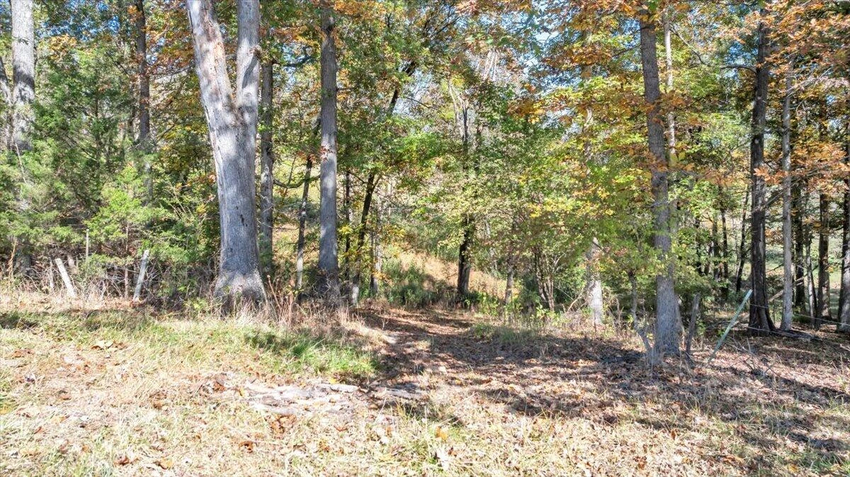 3770 Blue Ridge Tpke - Photo 19