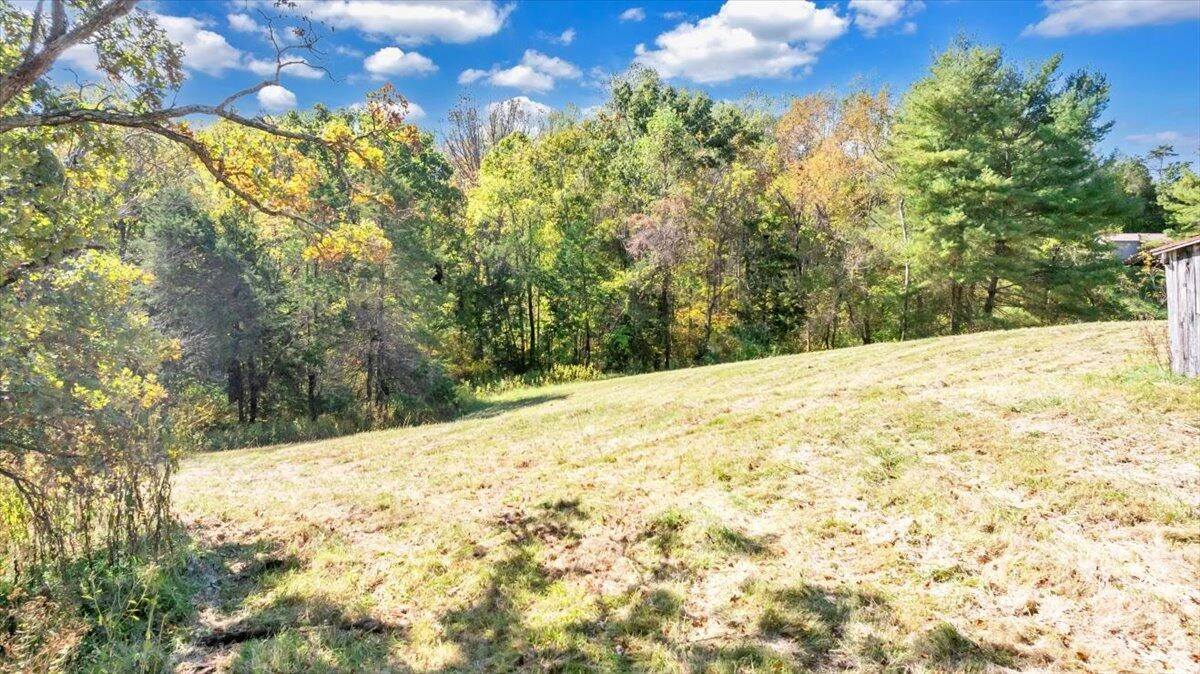 3770 Blue Ridge Tpke - Photo 20