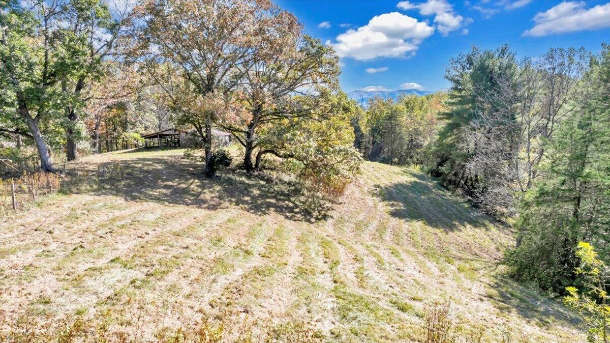 3770 Blue Ridge Tpke - Photo 22