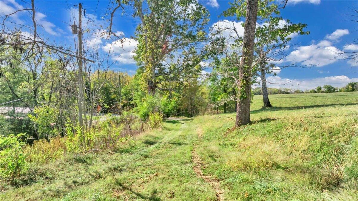 3770 Blue Ridge Tpke - Photo 24