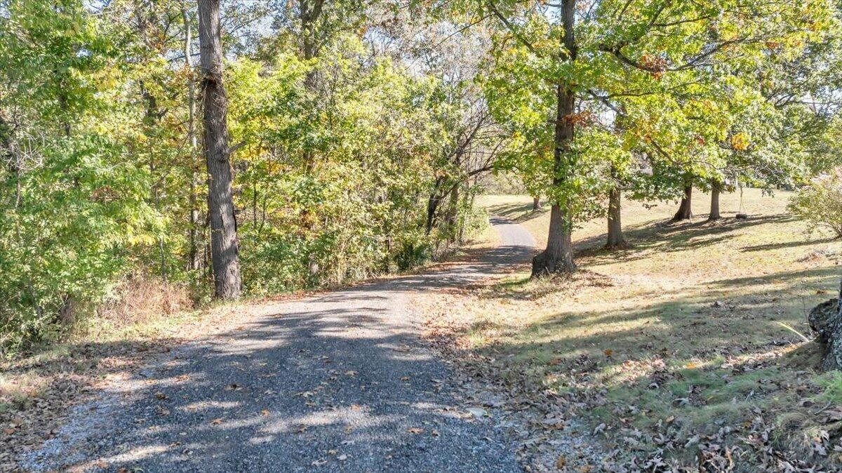 3770 Blue Ridge Tpke - Photo 39