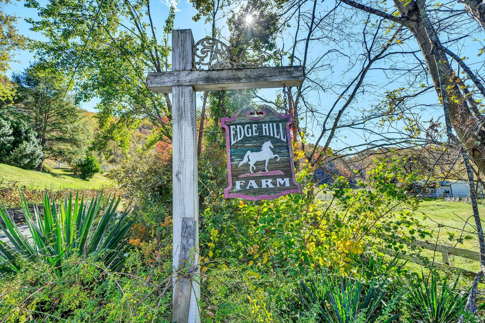 6247 Roanoke RD - Photo 4