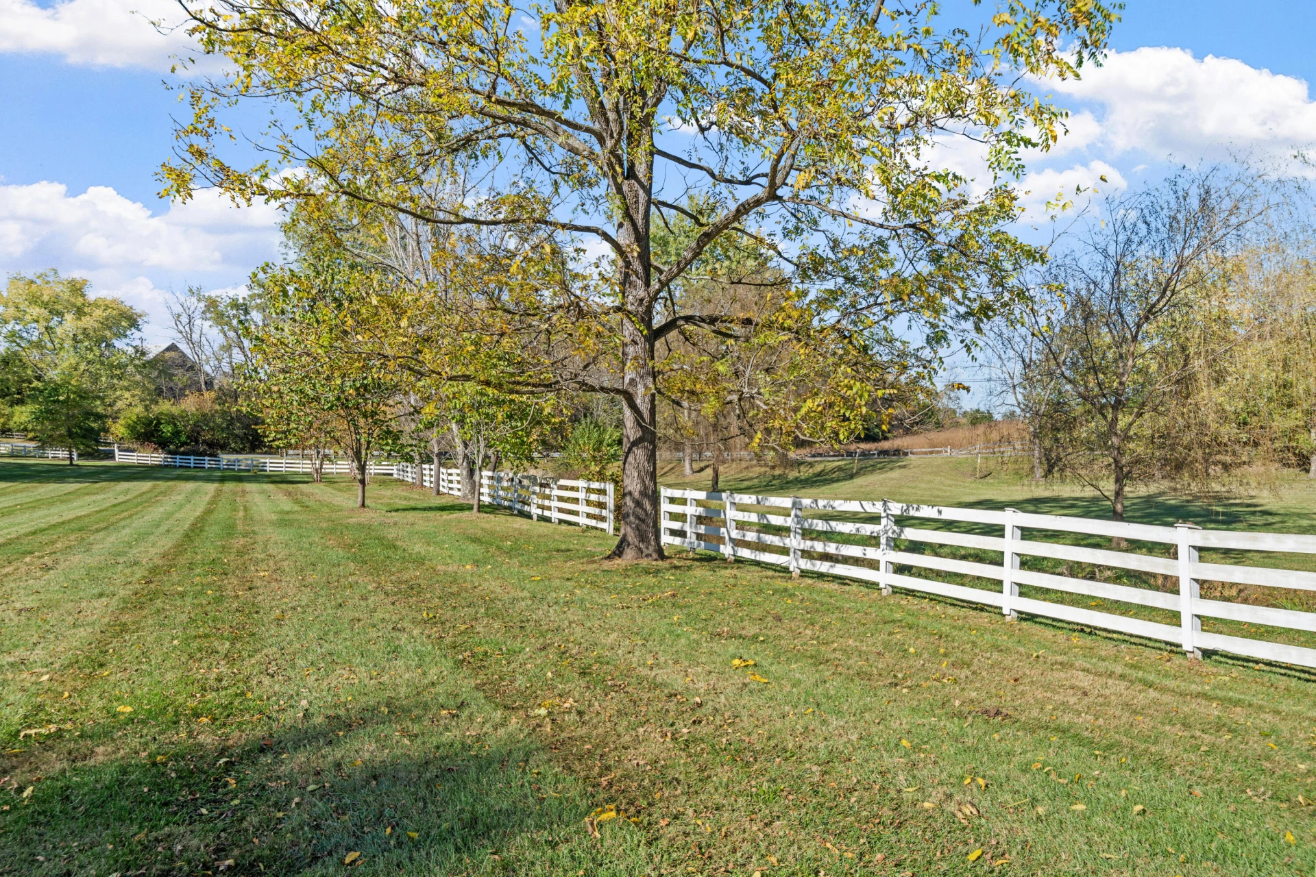 649 Shawnee TRL - Photo 59