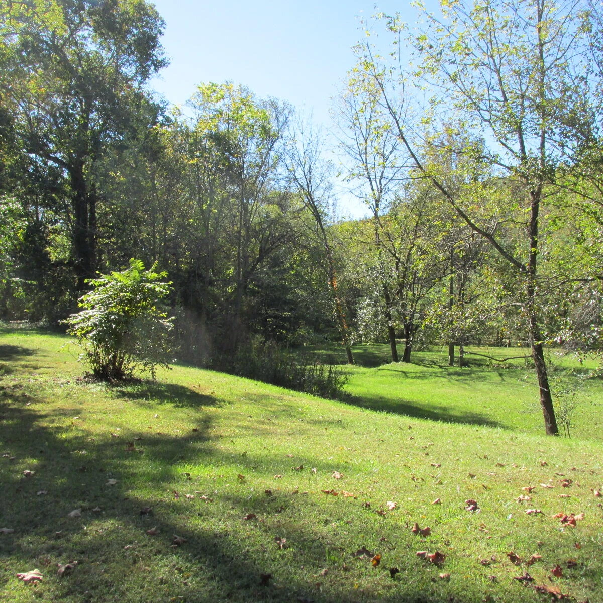 2824 Beldon DR - Photo 10