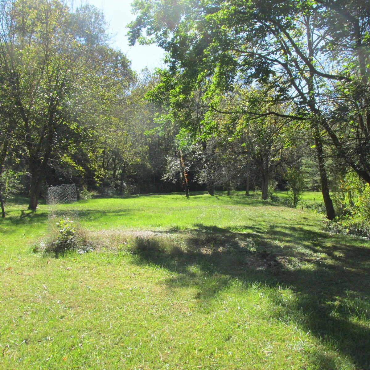 2824 Beldon DR - Photo 11