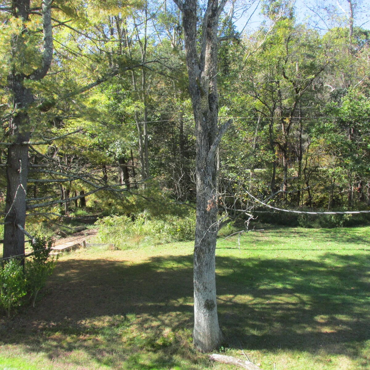 2824 Beldon DR - Photo 8