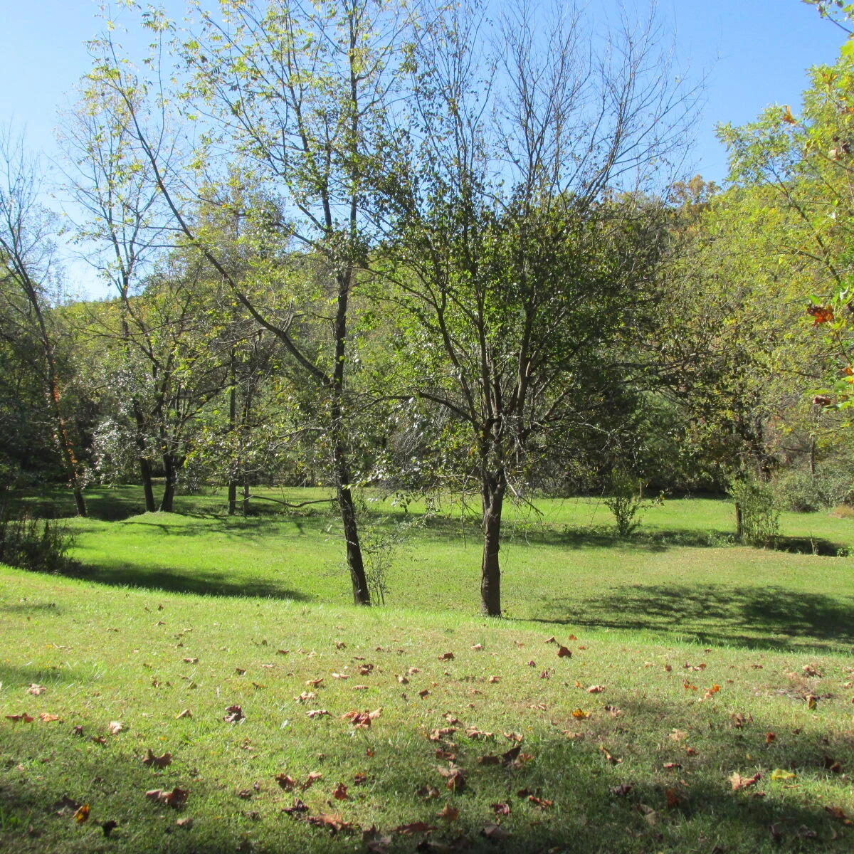 2824 Beldon DR - Photo 9