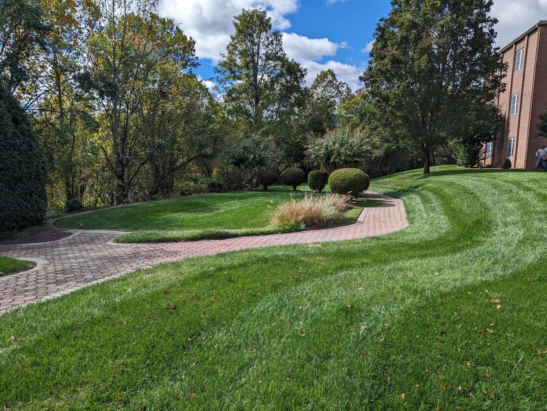 3025 Mcvitty Forest DR #315 - Photo 44