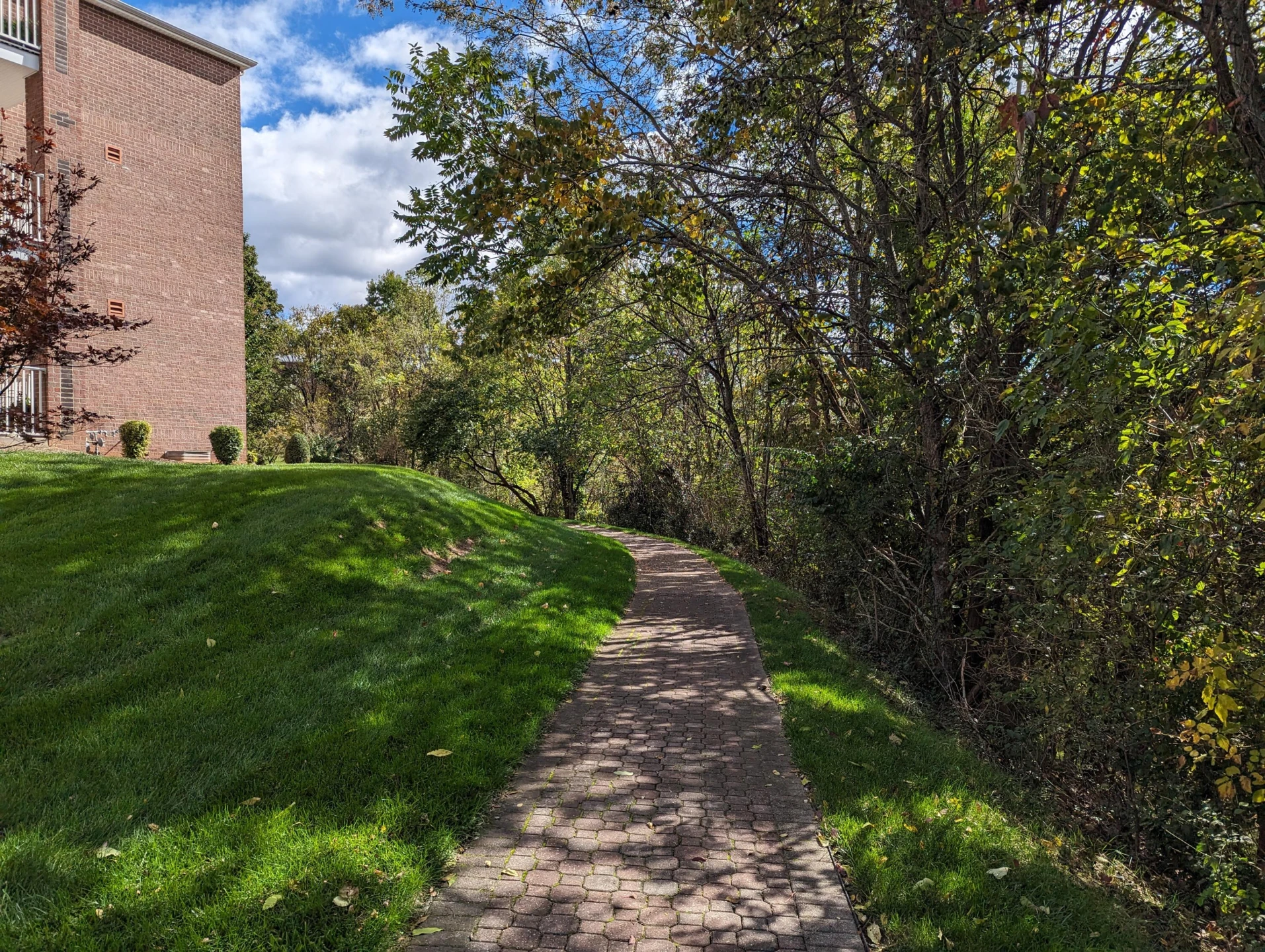 3025 Mcvitty Forest DR #315 - Photo 45