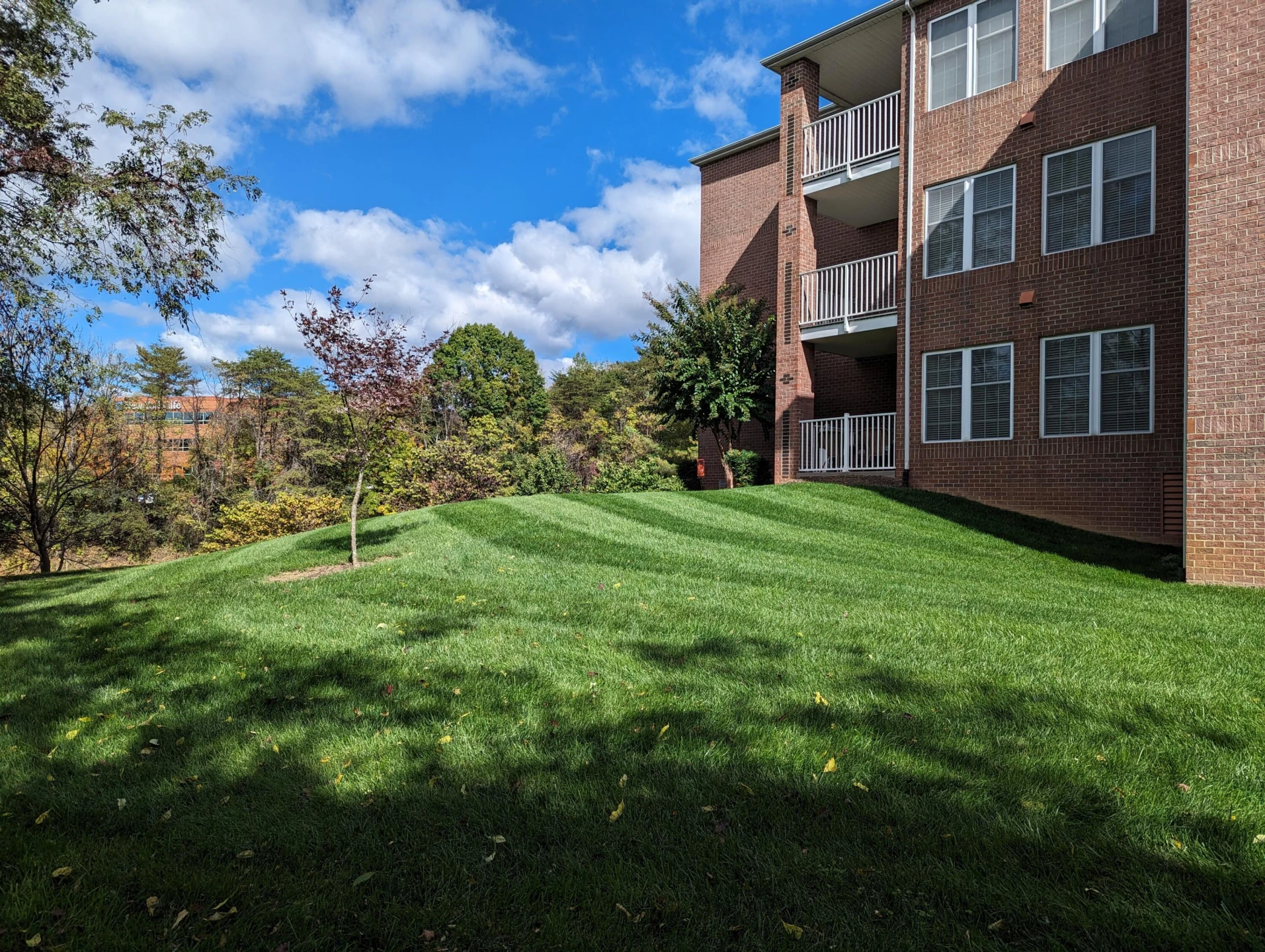 3025 Mcvitty Forest DR #315 - Photo 46