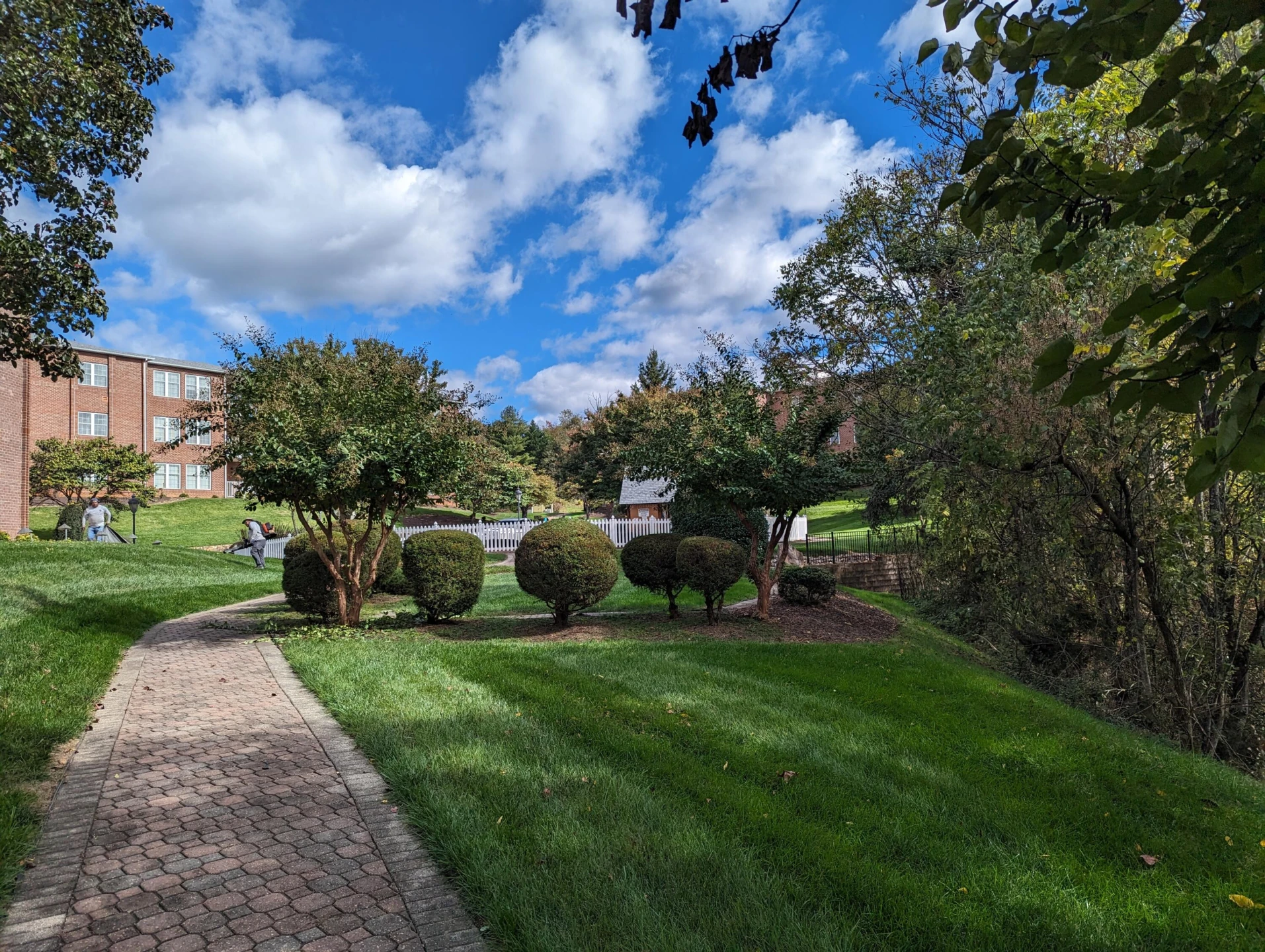 3025 Mcvitty Forest DR #315 - Photo 47