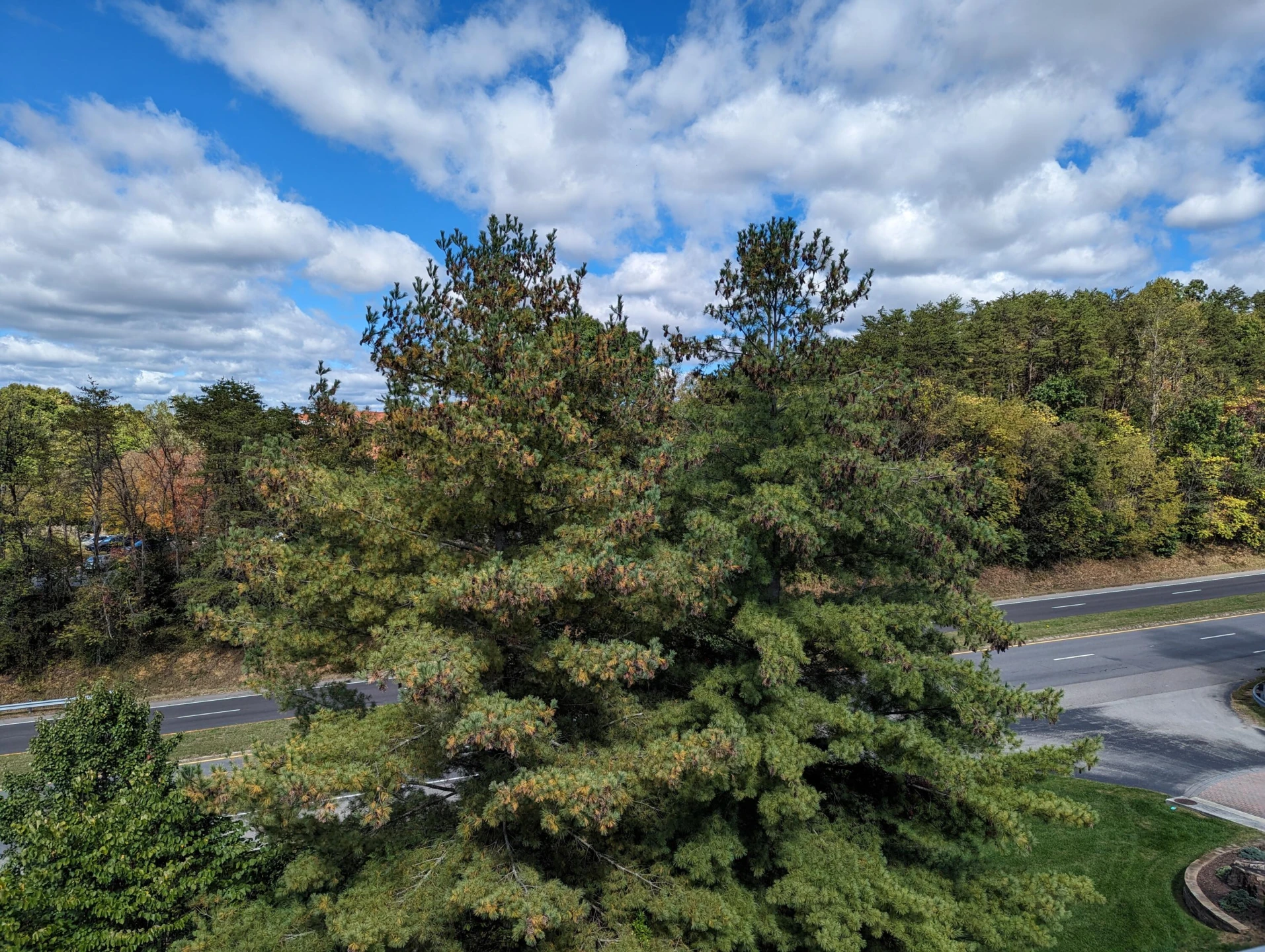 3025 Mcvitty Forest DR #315 - Photo 48