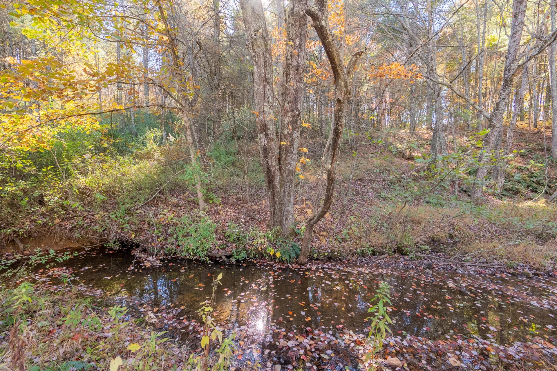254 Dusty Mile RD NW - Photo 124