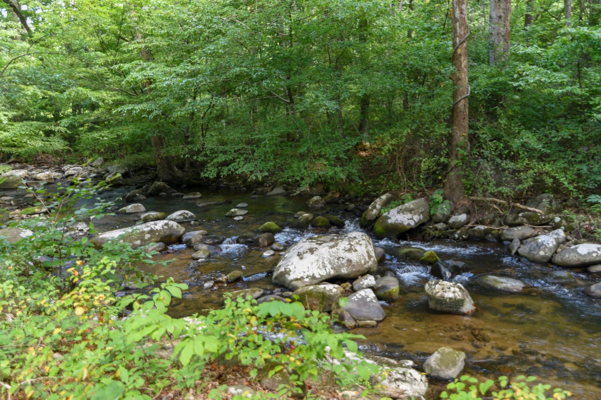 0 North Otter Creek RD - Photo 17