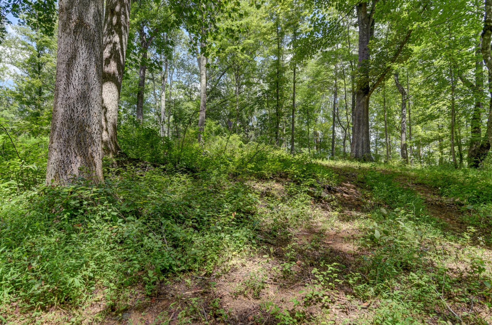 0 North Otter Creek RD - Photo 5