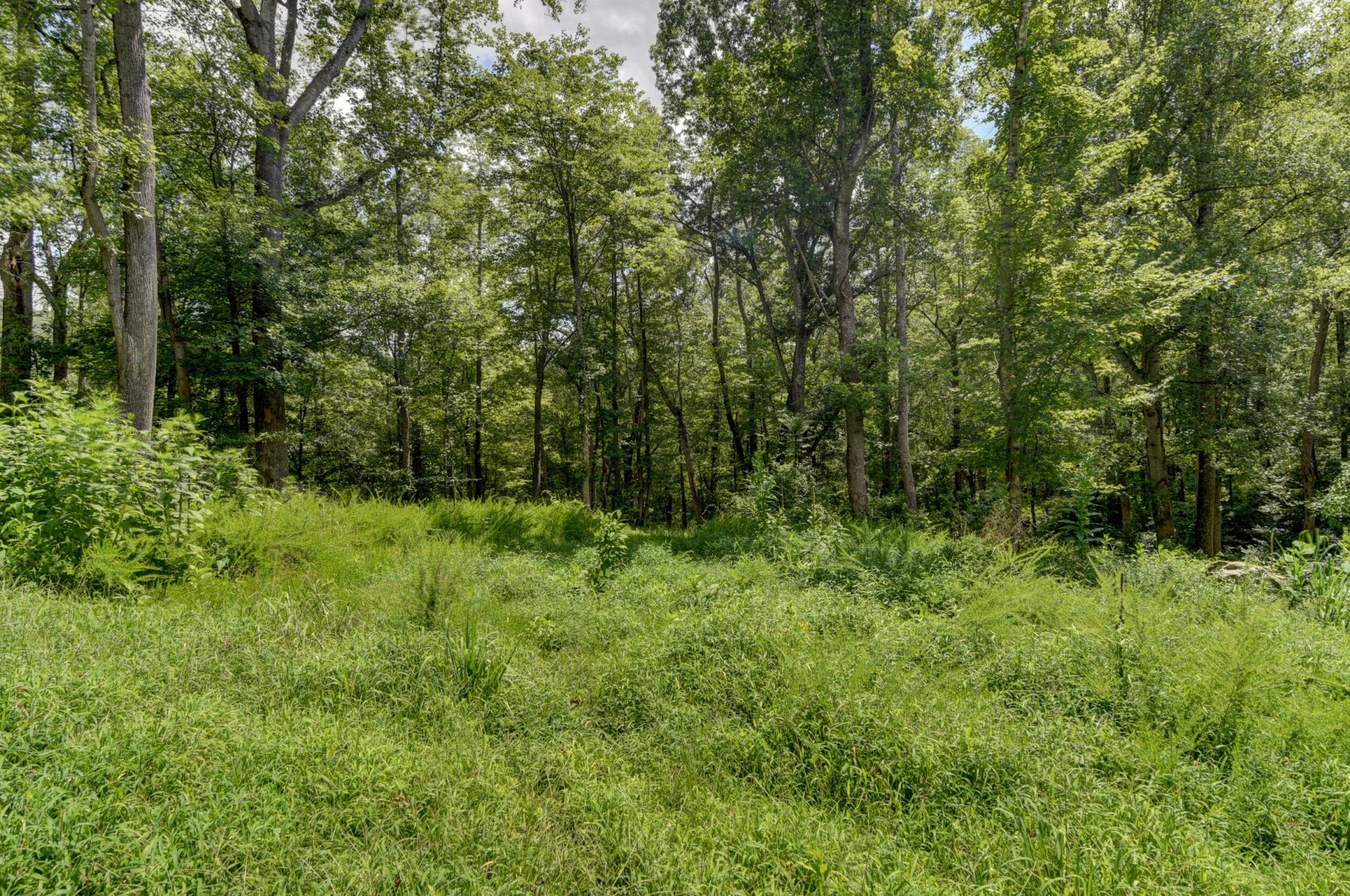 0 North Otter Creek RD - Photo 6