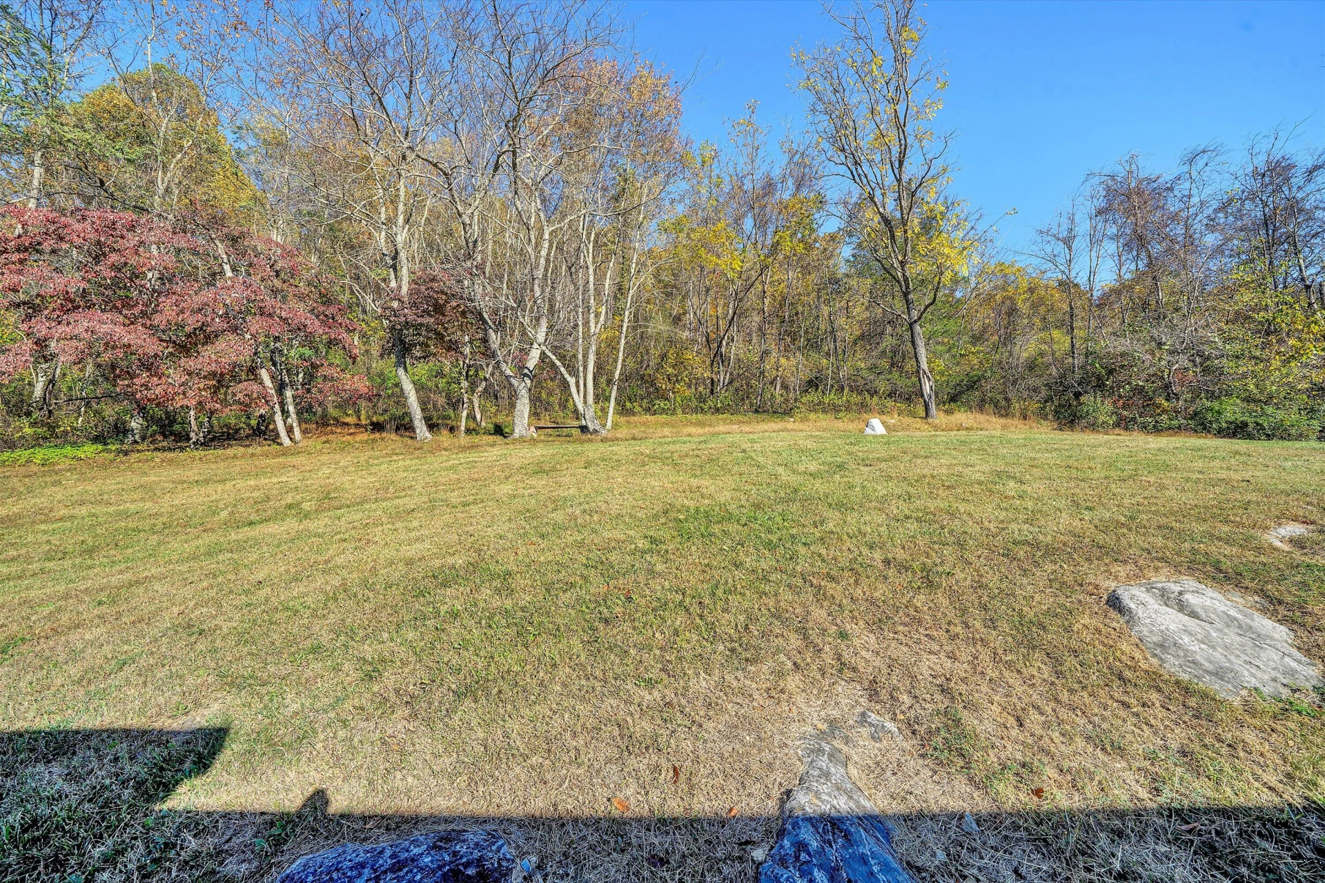 6735 BLACKSBURG RD - Photo 24