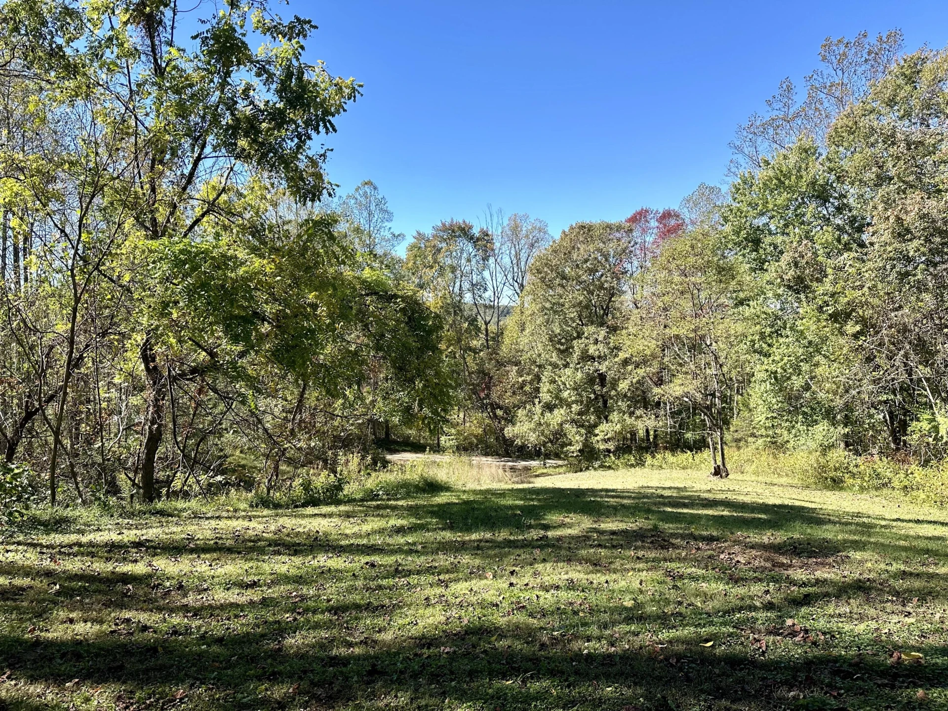 7870 Sontag Rd RD - Photo 24